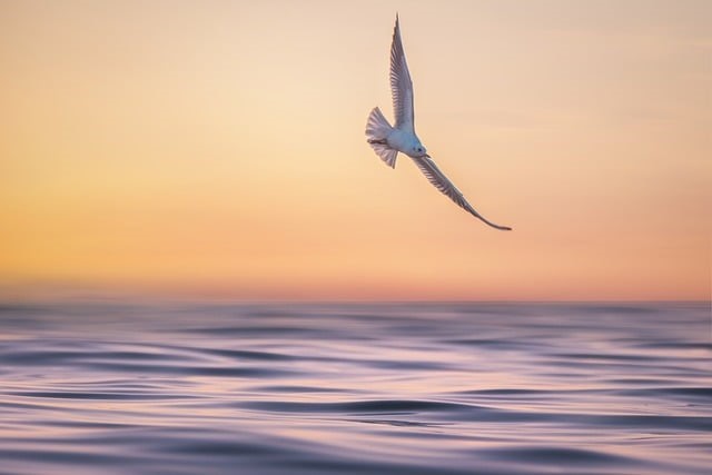 Anticipatory Grief